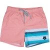 HOOey Youth "The Bigwake" Coral Board Shorts -HOOey Shop HB2002OR 013e9a0d dee4 45a2 9bdf 6c98526c67ec