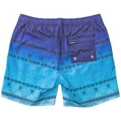 HOOey "Bigwake" Blue/Teal Ombre Pattern Board Shorts -HOOey Shop HB2022BLTLBack