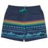 HOOey "Bigwake" Navy/Blue Board Shorts -HOOey Shop IMG 3838