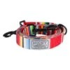 Hooey Nomad Leash Serape Tijuana OS -HOOey Shop p0000455901 1