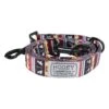 Hooey Nomad Leash Totem OS -HOOey Shop p0000455903 1